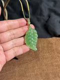 Handcarved Hetian Bright Green Jade Leaf Charm – Elegance & Achievement Pendant